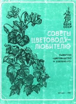 Советы цветоводу-любителю