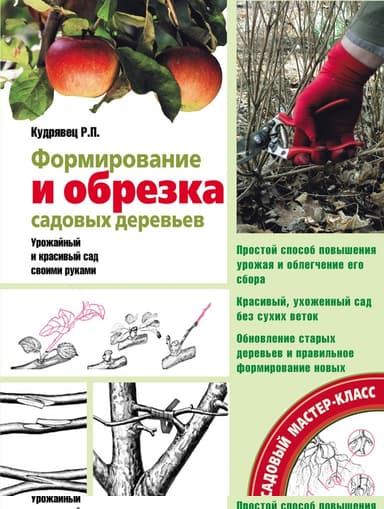 Формирование и обрезка садовых деревьев