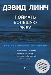 Поймать большую рыбу. Медитация, осознанность и творчество
