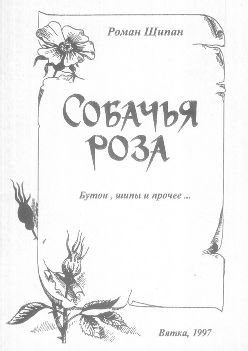 Собачья роза. Бутон, шипы и прочее…
