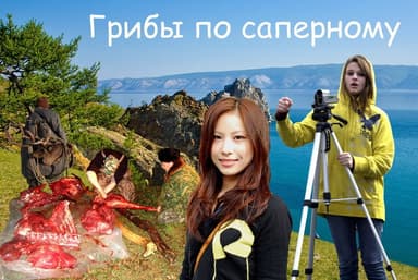Грибы по-саперному (СИ)