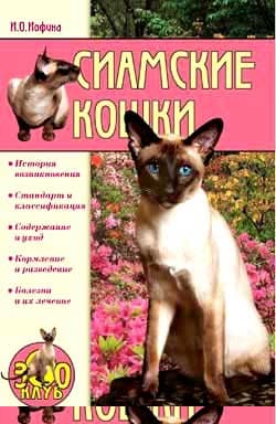 Сиамские кошки