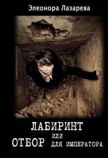 Лабиринт или отбор для Императора (СИ)