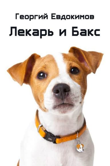 Лекарь и Бакс (СИ)