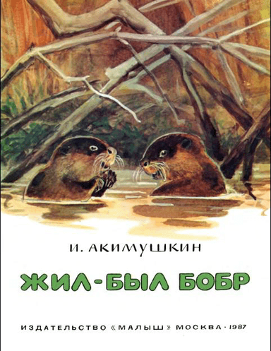 пїЅпїЅпїЅ-пїЅпїЅпїЅ пїЅпїЅпїЅпїЅ