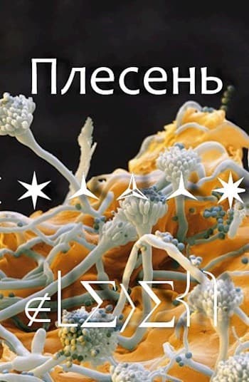 Плесень (СИ)