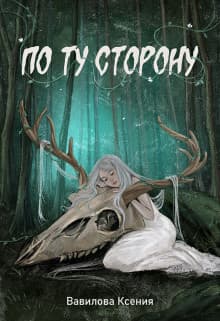 По ту сторону (СИ)