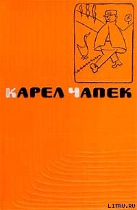 Почему терьеры роются в земле