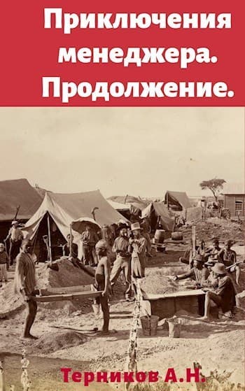 Приключения менеджера. Продолжение (СИ)