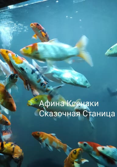 Сказочная Станица