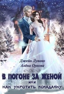 В погоне за женой, или Как укротить попаданку (СИ)